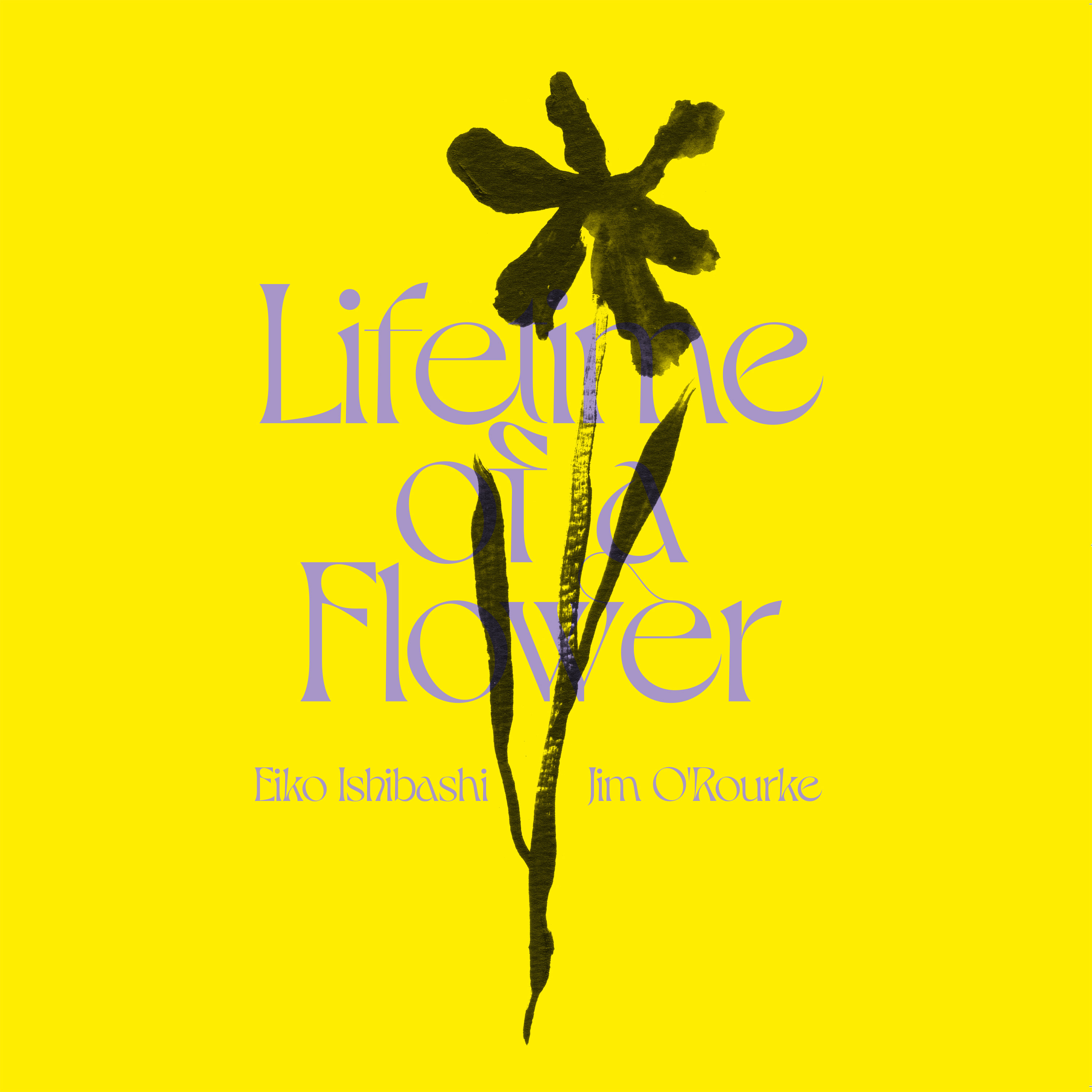 Eiko Ishibashi Jim ORourke Lifetime of a Flower uabab pic