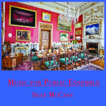 sean-mccann-music-for-public-ensemble