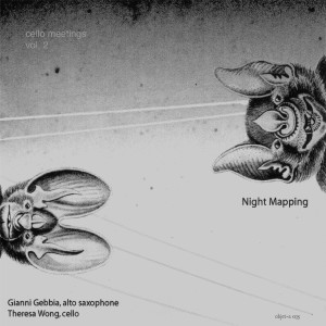 Theresa Wong & Gianni Gebbia Cello Meetings Vol​.​2- Night Mapping