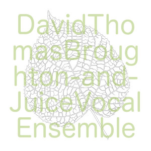David Thomas Broughton And Juice Vocal Ensemble - Sliding The Same Way