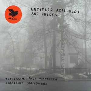Christian Wallumrød & Trondheim Jazz Orchestra - Untitled Arpeggios and Pulses