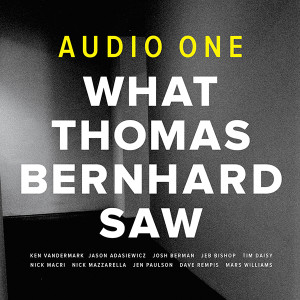 what-thomas-bernhard-saw