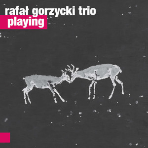 Rafal Gorzycki Trio - Playing