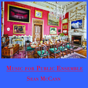 sean-mccann-music-for-public-ensemble